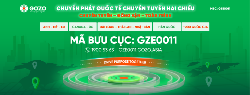 GZE0011